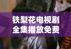 铁梨花电视剧全集播放免费观看 爱奇艺
