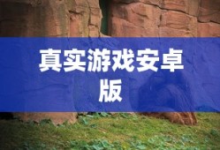 真实游戏安卓版
