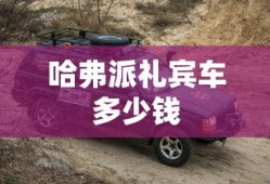 哈弗派礼宾车多少钱