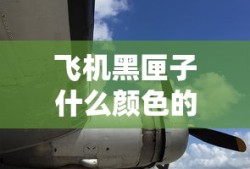 飞机黑匣子什么颜色的