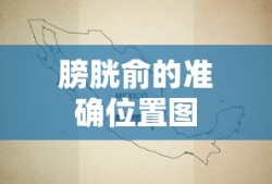 植物大战僵尸2破解版全满阶