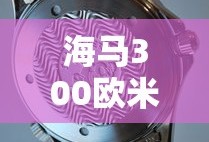 海马300欧米茄