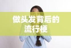 赘婿电视剧在线观看免费完整版高清