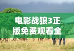 电影战狼3正版免费观看全集