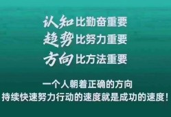 山兔副本攻略大全