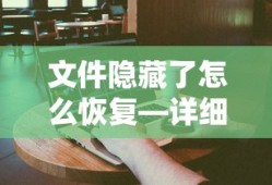 文件隐藏了如何恢复——详细步骤与解决方案