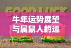 新手赛道攻略，玩转王者荣耀手游入门指南