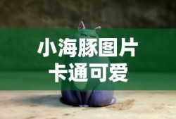 小海豚图片卡通可爱