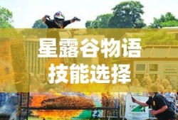 星露谷物语技能选择