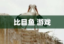 比目鱼 游戏