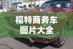 还好遇见你电视剧免费