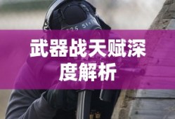 武器战天赋，深度解析与实战应用，武器战天赋深度解析及实战应用指南