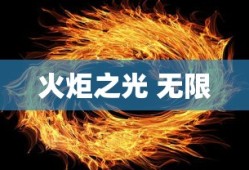 火炬之光 无限