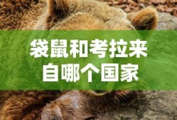 崩坏学园2国服官网