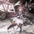 明日方舟离解复合15-12高练挂机攻略 主线第十五章沙盘推演攻略