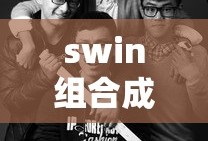 swin组合成员资料