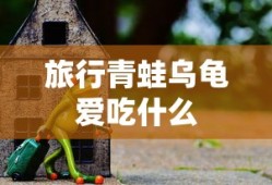 旅行青蛙乌龟爱吃什么