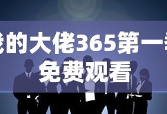 我的大佬365第一季免费观看