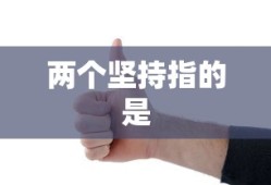 两个坚持指的是