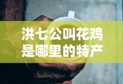 洪七公叫花鸡是哪里的特产