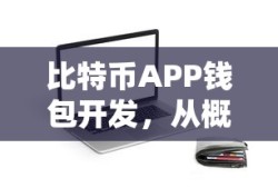 从概念到实践，比特币APP钱包开发指南