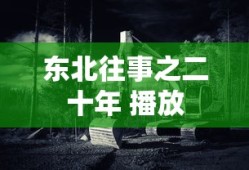 东北往事之二十年 播放