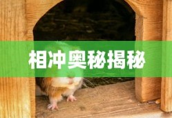 快穿之吞噬规则