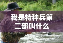 我是特种兵第二部叫什么