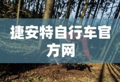捷安特自行车官方网