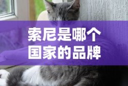 索尼是哪个国家的品牌
