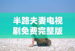 半路夫妻电视剧免费完整版观看