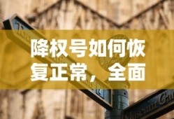 降权号恢复方法，全面解析与操作指南