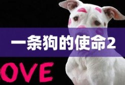 一条狗的使命2