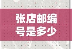 张店邮编号是多少