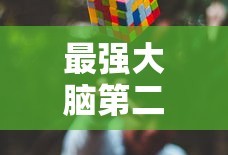 最强大脑第二季完整版视频