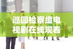 巡回检察组电视剧在线观看播放