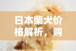 日本柴犬价格解析，购买一条柴犬需要多少人民币？