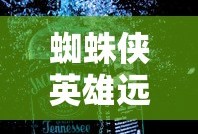 vi和vt的区别和用法