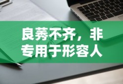 建议，良莠不齐的多元解读