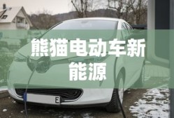 熊猫电动车新能源
