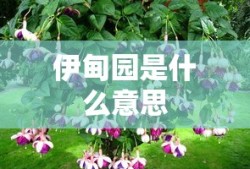 伊甸园是什么意思