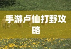 征服梅子是谁扮演的