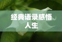 经典语录感悟人生