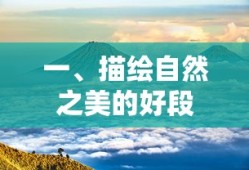自然之美，静谧的森林画卷