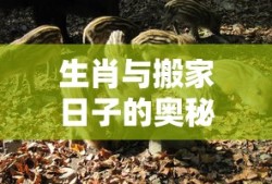 斗罗大陆看全集完整版免费