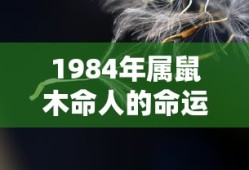 揭秘命运之轮，1984年属鼠木命人的命运轨迹探索