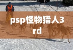psp怪物猎人3rd
