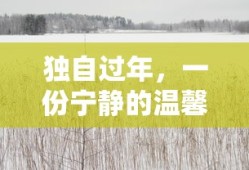 独自过年，宁静温馨的独处时光