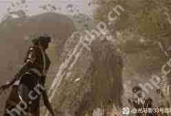 光与影33号远征队自动死亡符文位置在哪-光与影33号远征队自动死亡符文位置分享