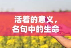 名句中的生命智慧，活着的意义与价值探索